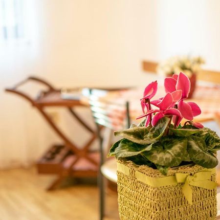 Apartments Mirjana Πούλα Εξωτερικό φωτογραφία